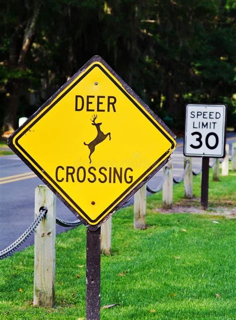 Deer Crossing Sign Stock Image Image Of Watch Warning 5128971