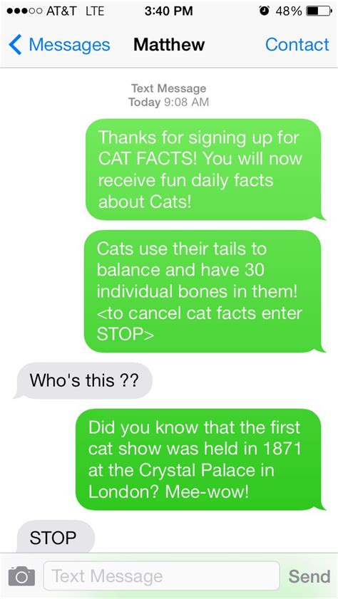 Pin By Eli On Funny Cat Facts Prank Cat Facts Cat Facts Text