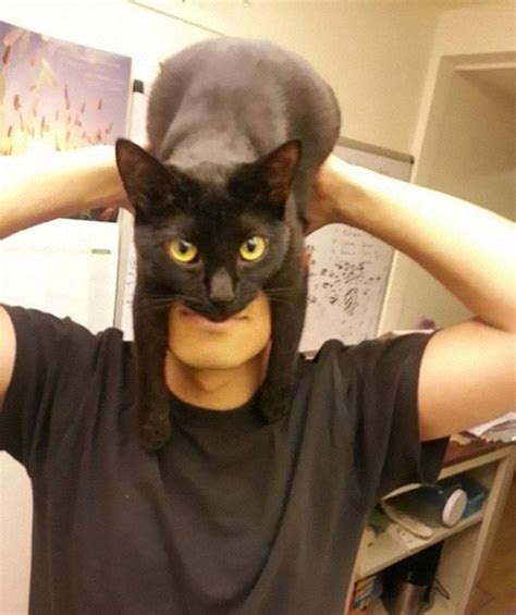 Catman Guy Shows How To Look Like Batman Using Your Cat