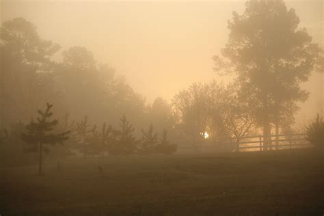 A Foggy Morning In The Country Oconee County Ga Photo Credit Gary