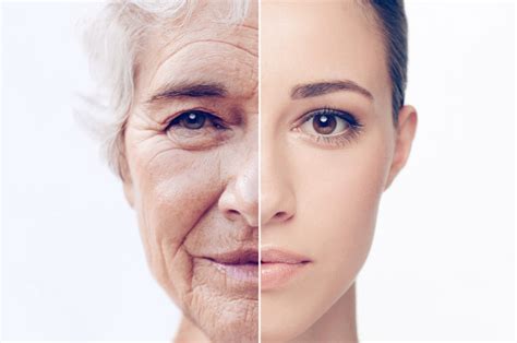 Can You Turn Back The Hands Of Time The Effect Of Aging On The Skin