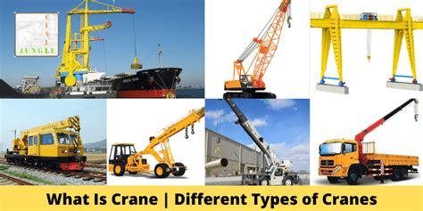 Different Types Of Cranes Design Talk