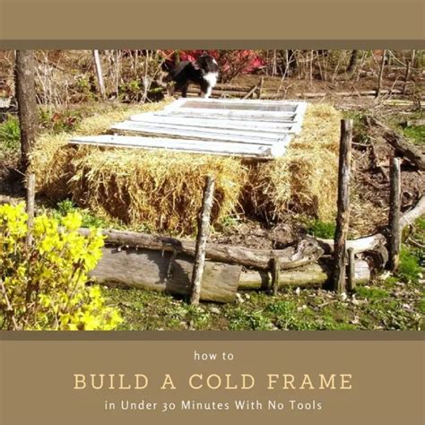 How To Build A Cold Frame In Under 30 Minutes With No Tools