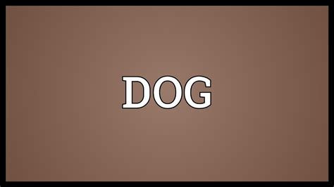Dog Meaning Youtube