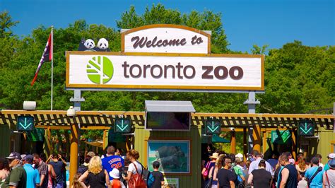 The Best Hotels Closest To Toronto Zoo 2020 Updated Prices Expedia