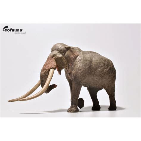 Straight Tusked Elephant By Eofauna Palaeoloxodon Antiquus — Dejankins