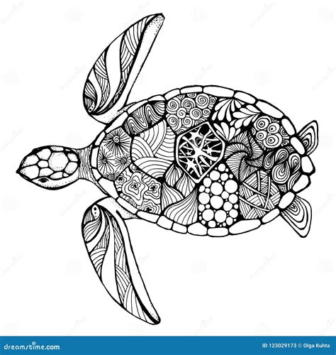 Turtle Zentangle Pattern Cartoon Vector 82240737