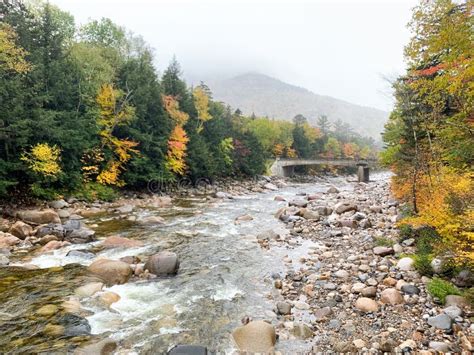Beautiful River In The Forest Of The Mount Willard New Hampshire On A