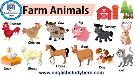 Farm Animals In English English Study Here