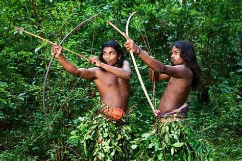 Discover more rainforest animals (including more mammals) here: Canopy Layer of the Rainforest - Science Struck