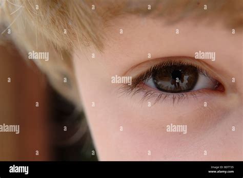 Boy Childs Eye Stock Photo Alamy