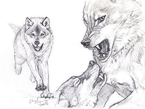 Wolf Fight Drawing