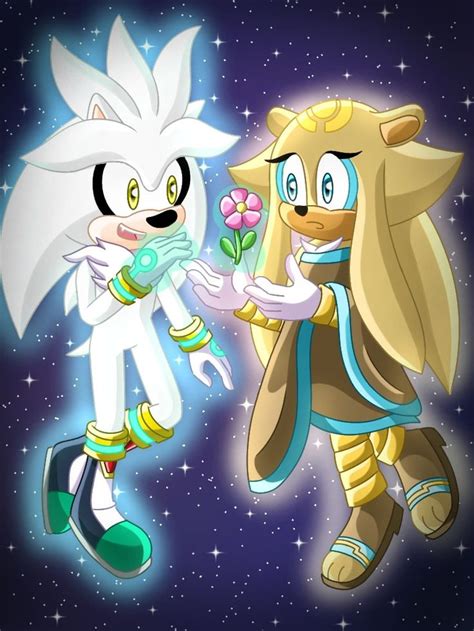 Silver And Gold Silver The Hedgehog Sonic Art Sonic Heroes