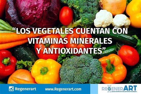 si los vegetales son ricos en vitaminas minerales y antioxidantes pero también son ricos en