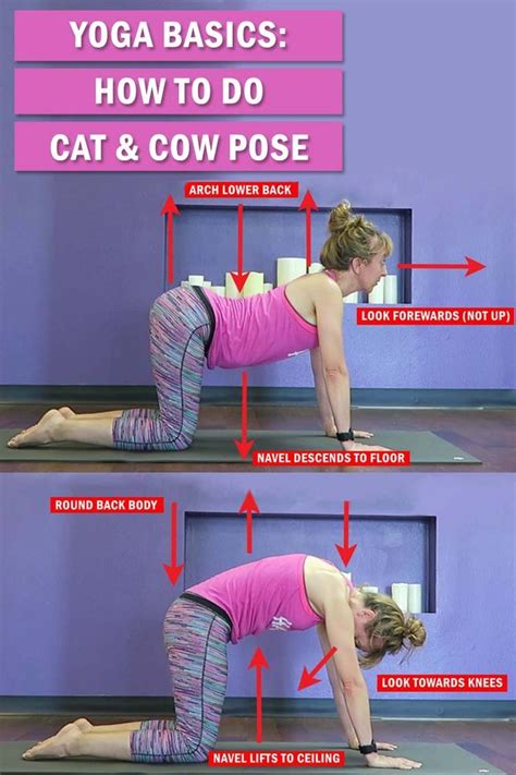 Cat/cow pose (marjaryasana/bitilasana) is a wonderful way to warm up the spine at any point on or off your mat. Cat And Cow Pose Breathing - Pets Ideas