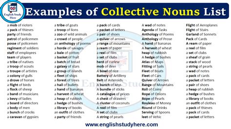 Collective Nouns List English Study Here