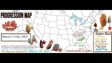 Morel Mushroom Progression Maps 2023 Up Until March 5th Slideshow