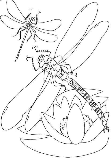 Dragonflies Coloring Pages