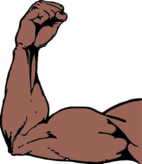 Arm Png Transparent Png All
