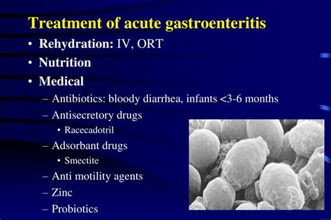 Inflammation of the stomach and small intestine. PPT - ACUTE GASTROENTERITIS IN CHİLDREN PowerPoint Presentation - ID:5969629