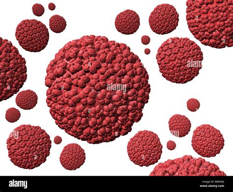 Illustrations Human Papillomaviruses Stock Photo Alamy