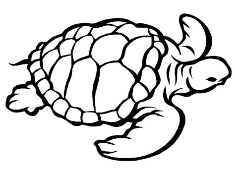 Turtle Coloring Pages For Children Turtles Kids Color