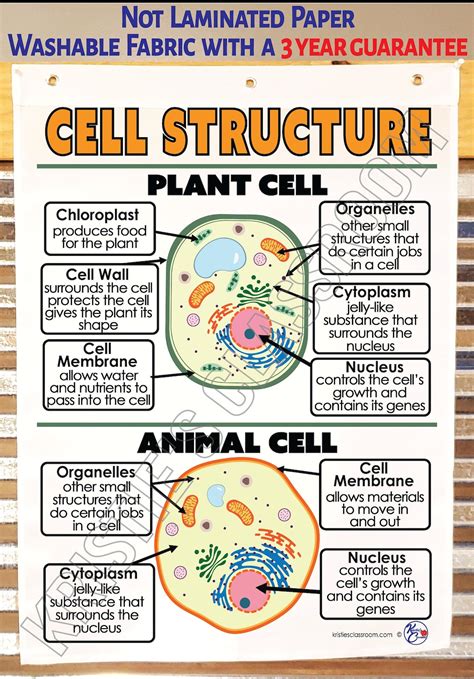 Basic Cell Structure Plant And Animal Anchor Chart Printed On Fabric