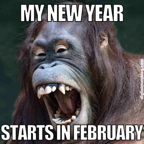 February Memes Celebrating That Its Not January