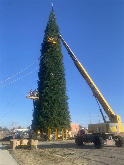 How The Worlds Tallest Fresh Cut Christmas Tree Returned To Enid