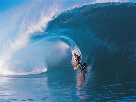 Hawaii Surfing Free Stockphoto