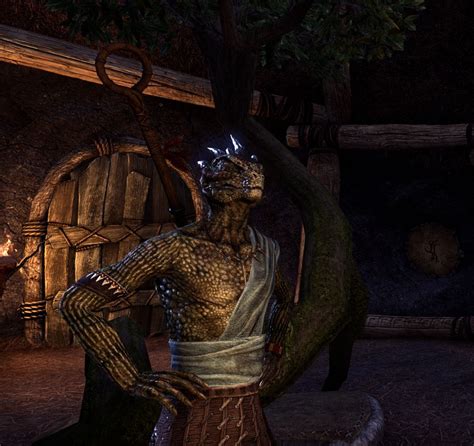 Cool Argonian Wallpapers Top Free Cool Argonian Backgrounds