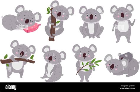 Cute Koalas Cartoon Mascot Bear With Eucalyptus Tree Branch And