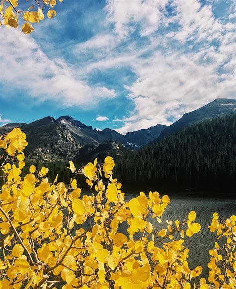 Autumn Has Arrived In Rocky Mountain National Park Co 2787x3418