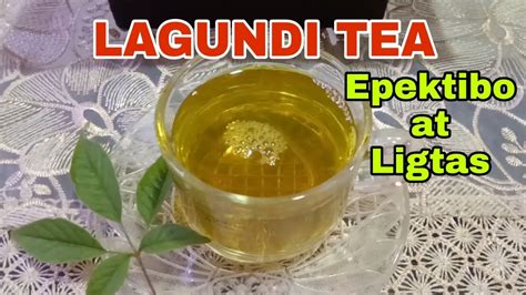 Lagundi Tea Halamang Gamot Mabisang Panlaban Sa Ilang Uri Ng