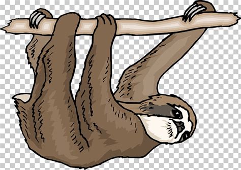 Three Toed Sloth Clipart Panda 10 Free Cliparts Download Images On