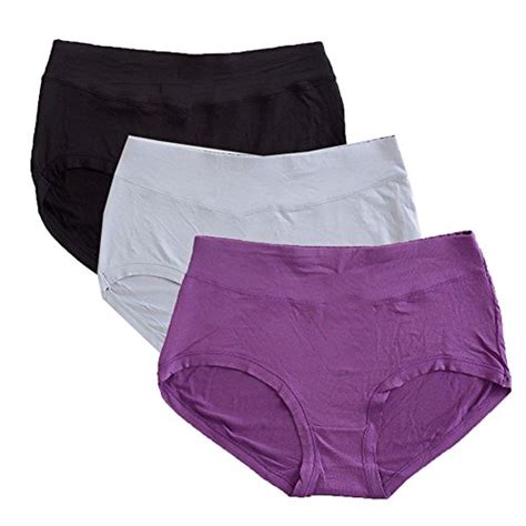 Warm Sun Women S Bamboo Viscose Fiber Multi Pack Plus Size Panties M Purple Black Gray