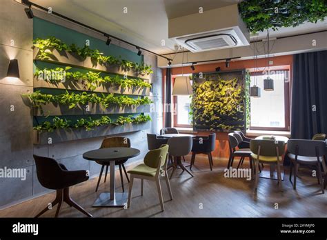Modern Cafe Interior Style Green Eco Environmental With Plant Stock