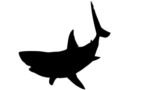 Free 146 Baby Shark Outline Svg Svg Png Eps Dxf File