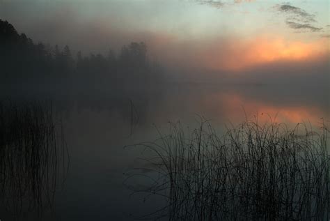 Golden Eye Nature Photo Of The Day Foggy Lake Sunrise
