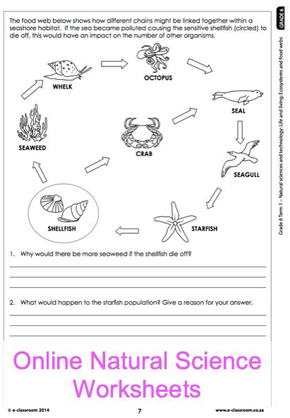 Free Printable 6th Grade Science Worksheets For Grade 6 Thekidsworksheet