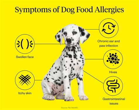 What Are The Symptoms Of Anaphylactic Shock In Dogs
