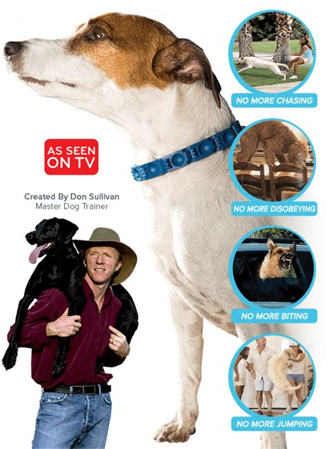 The Perfect Dog™ Official Site Of Don Sullivans Dog Training System