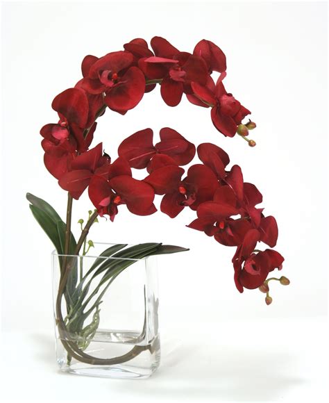 17001 Red Velvet Orchids In Glass Vase Orchid Photography Orchids Silk Plants