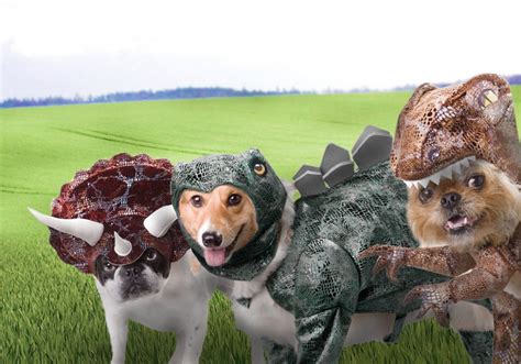 Animal Planet Dinosaur Dog Costumes Noveltystreet