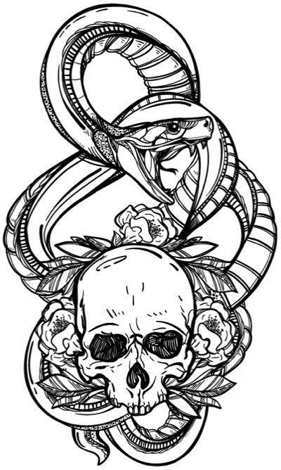 Skull Coloring Book For Adults Detailed Designs For Stress Relief