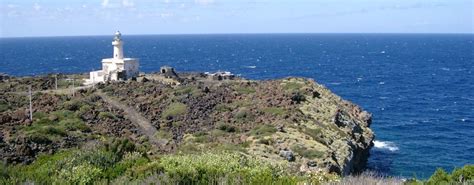 Scoperta pianta unica al mondo. Vacanze a Pantelleria: 5 cose uniche al mondo da non perdere!