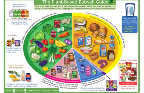 Plant Based Eatwell Guide Mynutriweb Blog