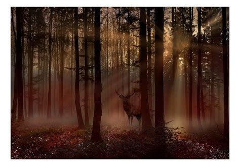 A Deer Standing In The Middle Of A Forest Filled With Trees And Foggy Skies
