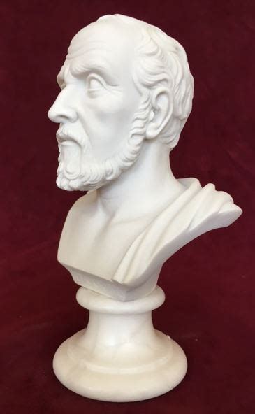 Bust Of Hippocrates Father Of Medicine Sculpture