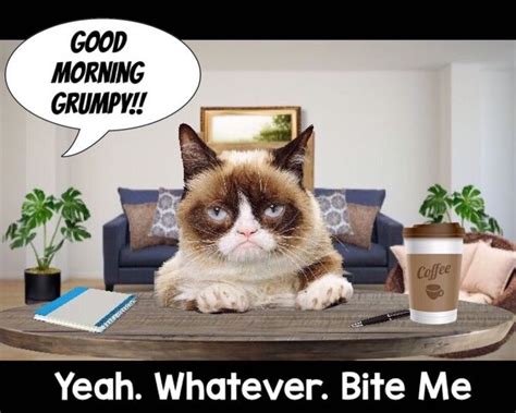 Grumpy Cat Good Morning Meme Entrevistamosa
